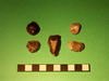 Thumbnail of Till-Tweed EBA Scrapers and Knife