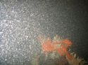 Thumbnail of Unidentified wreck feature; still from video