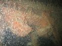 Thumbnail of Fairlead; still from video