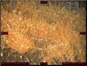 Thumbnail of Fairlead; still from video