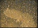 Thumbnail of Propellor; still from video