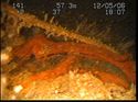 Thumbnail of Unidentified wreck feature; still from video