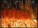 Thumbnail of Unidentified wreck feature; still from video