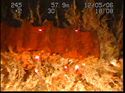 Thumbnail of Unidentified wreck feature; still from video
