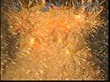 Thumbnail of Unidentified wreck feature; still from video