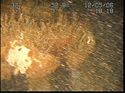 Thumbnail of Fairlead; still from video