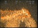 Thumbnail of Unidentified wreck feature; still from video