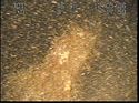 Thumbnail of Unidentified wreck feature; still from video