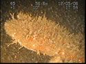 Thumbnail of Propellor; still from video