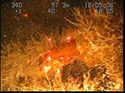 Thumbnail of Unidentified wreck feature; still from video