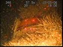 Thumbnail of Unidentified wreck feature; still from video