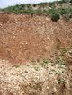 Thumbnail of Decalcified Gravels north zone of Quarry