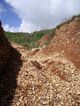 Thumbnail of Western Extraction Area