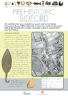 Click to view PDF file