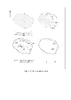 fig11b