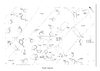 fig5b