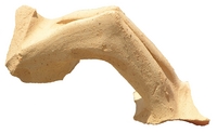 Agora G199