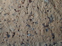 Hand specimen, fresh broken surface - Agora M54