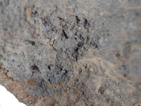 Hand specimen, fresh broken surface - Almagro 54