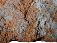 Hand specimen, fresh broken surface - Africana 2D Grande