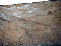 Hand specimen, fresh broken surface - Agora F65-66