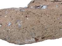Hand specimen, fresh broken surface - Augst 33