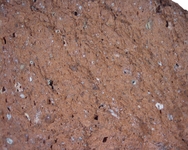 Hand specimen, fresh broken surface - Africana 2B Pseudo-Tripolitanian