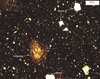 Agora M254